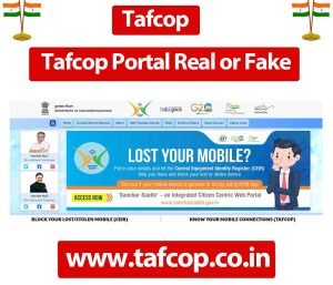 Tafcop Portal Real or Fake